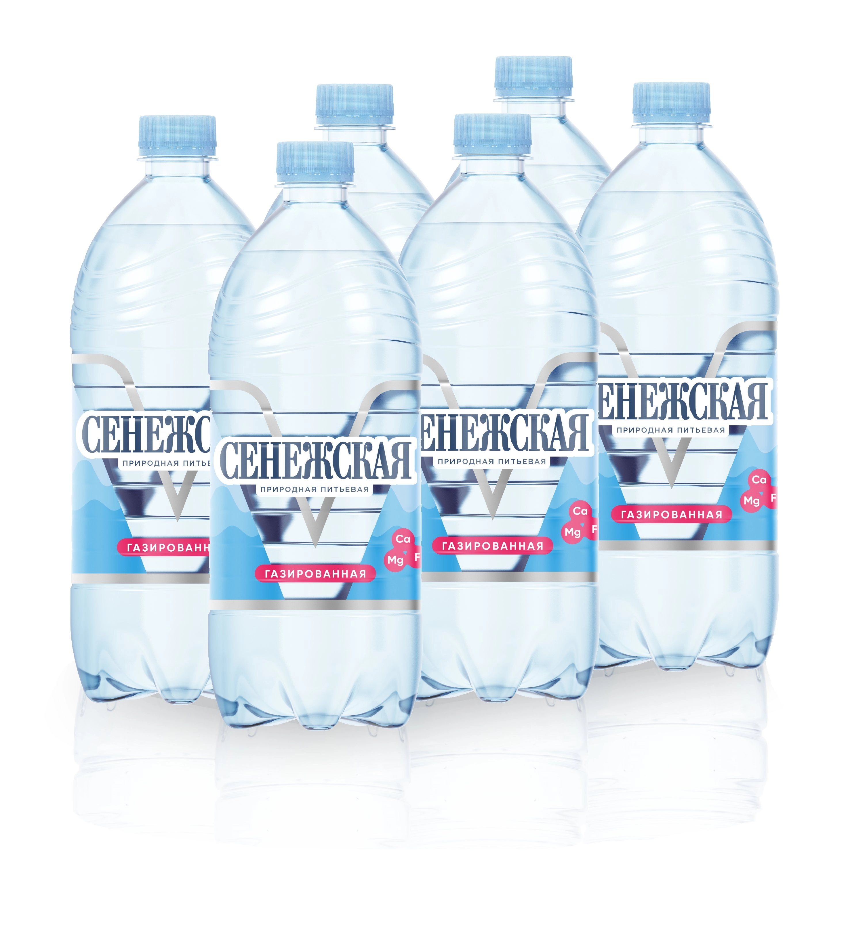 Вода минеральная Сенежская Газированная 1 л., 6 шт